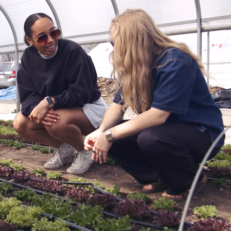 Gain Hands-On Experience